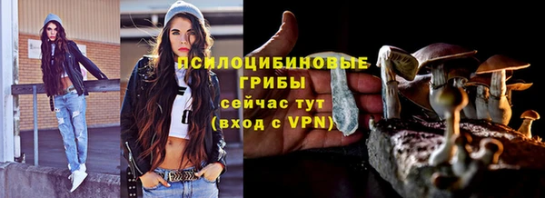 крисы Вязьма