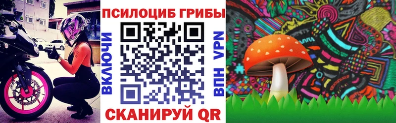 где найти наркотики  Яхрома  Псилоцибиновые грибы ЛСД 