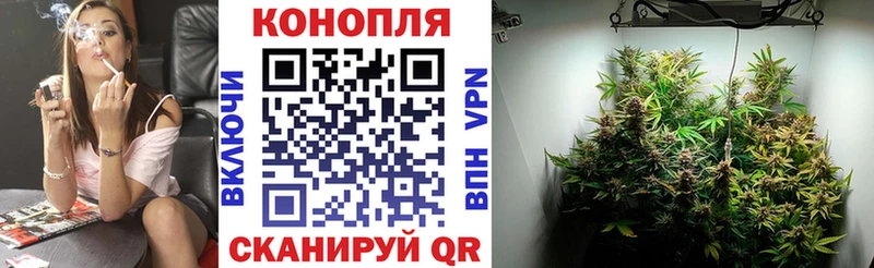 цена   Яхрома  Бошки Шишки MAZAR 